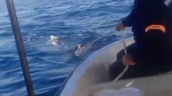 Dev köpekbalığı Türk balıkçıya kabusu yaşattı: O anlar saniye saniye kamerada!