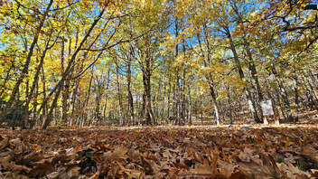 Burası Türkiye'nin yasaklı cenneti: İzinsiz girene yarım milyon TL ceza kesiliyor!