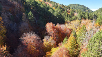 Türkiye'nin eşsiz zirvelerinde sonbahar güzelliği kameralara böyle yansıdı