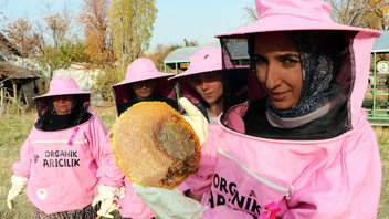 Kadın girişimciler Türkiye'nin şifa deposunun hasadına pembe maskeleriyle başladı