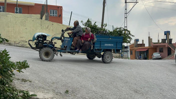 Doğada kendiliğinden yetişiyor, köylülere gelir kapısı oluyor! Kilosu 11 TL