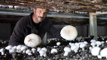 İstanbul'da yöneticilik koltuğunu bıraktı, memleketinde üretici oldu