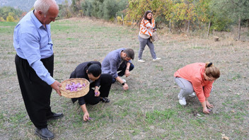 ''Kırmızı altın''ı kuraklık vurdu: Gramı 600 TL'den satılıyor
