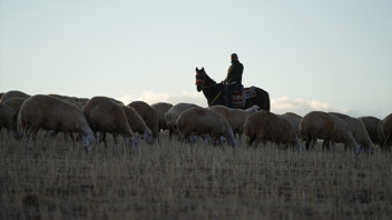 Megakentin megadertlerinden kaçıp kendi işinin patronu oldu