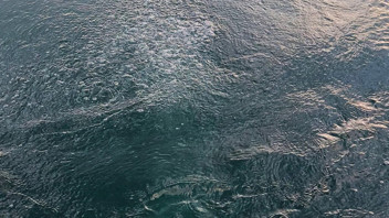 Kuraklıktan yok olmaya başlayan Sapanca Gölü'nde su fokurdamaya başladı!