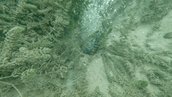 Fokur fokur kaynayan Sapanca Gölü'nün derinliklerinden yükselen kabarcıkların nedenini belli oldu