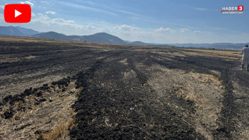 Doğanın katilleri suçüstü yakalandı: Ne yaptıklarına inanamayacaksınız!