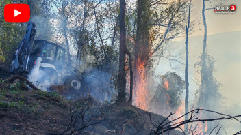 Türkiye'nin akciğerleri kömüre döndü: 5 hektarlık ormanlık alan yandı!