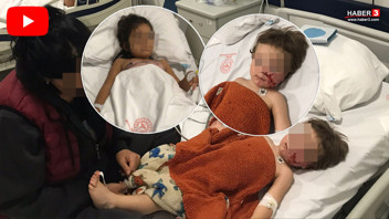 Komşunun pitbullu biri 1,5 diğeri 5 yaşındaki iki çocuğu hastanelik etti!