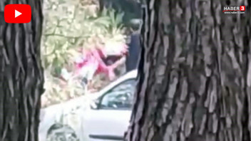 Ormanlık alanda genç kadına saldırı! Çığlıkları ormanı inletti!