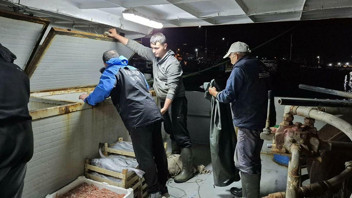 Çanakkale'de yarım tondan fazla balığa el konuldu