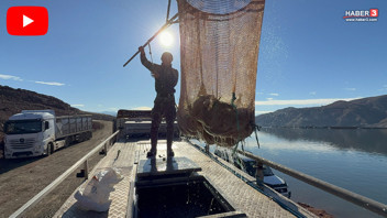Denizi olmayan ilimizin somonları tüm dünyada sofralarla buluşuyor!