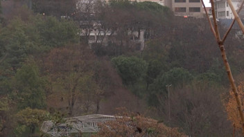 Peş peşe uyarıların ardından İstanbul'da sulu kar yağdı