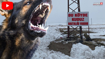 Bir ilimizde kuduz vakası tespit edildi; karantina başladı!