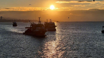 İstanbul'da fırtına dindi, Boğaz'ın avcıları ortaya çıktı