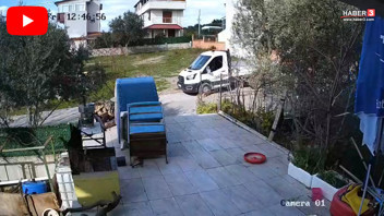 Bulun bu caniyi! Yerde yatan köpeği ezip geçti!