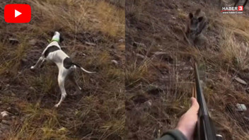 Hayatlarının şokunu yaşayan avcıları ölümden yanlarındaki av köpeği kurtardı!