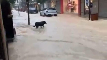 Ünlü tatil cennetini sel aldı; yollar göle döndü!