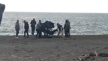 Muğla sahilinde parçalanmış bir ceset bulundu