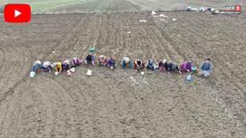 Çocukları için İstanbul'u terk edip, her şeyini bırakıp toprağa sarıldı