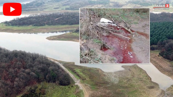 İstanbul'un en önemli su kaynağında ''kırmızı akan dere'' paniği!