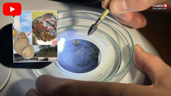 Hem Marmara Bölgesi'ni hem de Türkiye'yi bekleyen kabusta ''erken tanı'' çalışmaları başladı