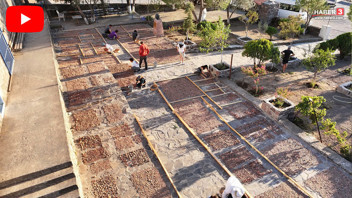 Türkiye'de bir tarihi keşif daha: Kazdıkça tarih fışkırdı, tam 3 bin adet...