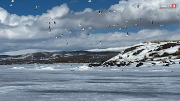 Türkiye'nin buz tutan eşsiz güzelliğinden ilginç görüntü: Gölün sahipleri döndü ama su yok, buz var!