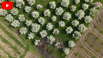 Marmara Bölgesi'nin cennetinden müjdeli haber görsel bir şölenle geldi!