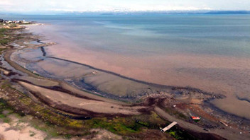 Van Gölü'nün kıyıları kahverengiye büründü