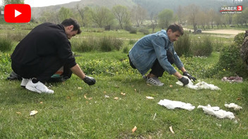 Doğa Fedaileri iş başında... İki genç adım adım gezip her yeri tek tek temizliyor!
