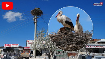 Yaren ve Nazlı'nın ardından Rüzgar ve Nergis de bir kez daha Türkiye'ye geri döndü!