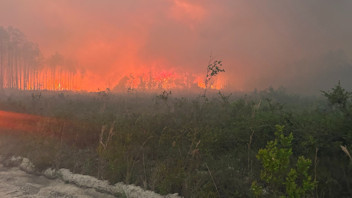 ABD'de orman yangını felaketi: Çok sayıda ev küle döndü