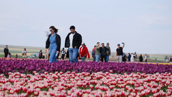 Türkiye'nin en büyük lale bahçesinde ziyaretçi rekoru