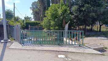 Adana'da satırlı dehşet: Ölü ve yaralılar var!