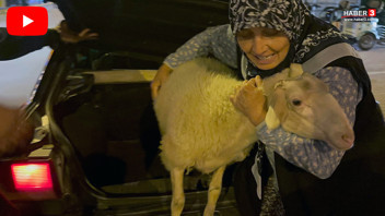 Firari kurbanlığa benzetilen Çorap kurbanlık olmaktan son anda kurtuldu