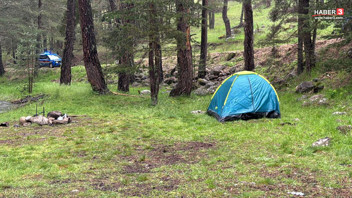Bolu'da kampçıların sığındığı ağaca yıldırım düştü: 3 kampçı yaralandı!