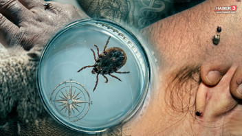Uzmanından katil keneler için hayati uyarı: Bu hataları sakın yapmayın!
