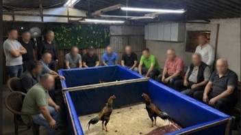 Horoz dövüştürenlere suçüstü: Çiftlik mühürlendi, 130 bin TL ceza kesildi