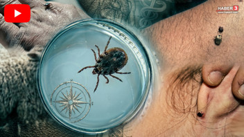Katil kenelerin yaydığı ölümcül KKKA virüsü için koronavirüs tipi kalkan geliyor!
