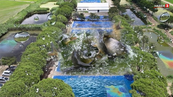 Tam 40 milyonu Marmara Bölgesi'nin göletlerinde serbest bırakıldı!
