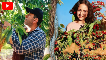Türkiye'nin dünyaca ünlü kırmızı altınında isyan var! Üretici de isyan etti!