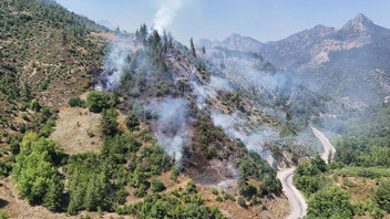 Adana'da ormanlık alanda yangın