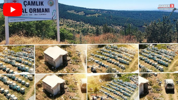 Türkiye'nin en doğal, en şifalı lezzetinin yeni adresi belli oldu