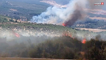 İzmir'in iki ilçesinde orman yangını: Fabrikalar tahliye edildi