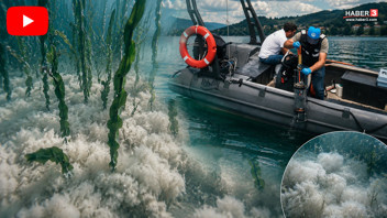 Sapanca Gölü'nün tabanını kaplayan gizemli oluşumun sırrı çözüldü