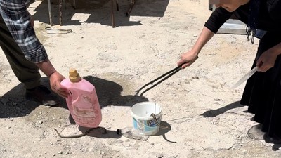 Hobi ya da meslek değil, mecburiyet: Onlar Türkiye'nin ''yılanlara üfleyen'' ailesi!