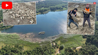 İstanbul'dan kahreden manzara: Masmavi sular gitti, balıklar çamura saplandı!