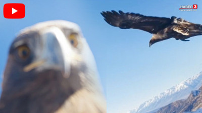 Dev kartal dronu avladı! Verdiği ''selfie'' pozu herkesi güldürdü!