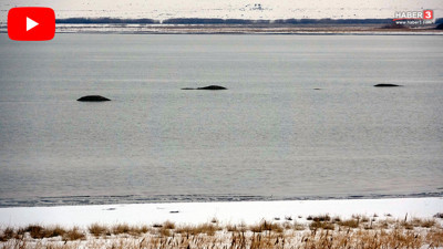 Türkiye'nin coğrafi haritası değiştiren gelişme... Van Gölü yok oluyor, adacıklar ortaya çıktı!